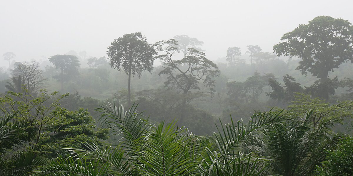 Landschaft beim Harmattan in Westafrika