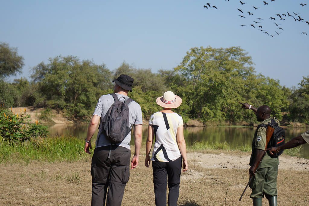 Auf Safari im Mole Nationalpark in Ghana