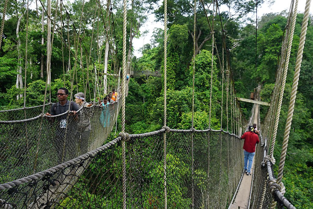 Must Go in Ghana: Kakum National Park