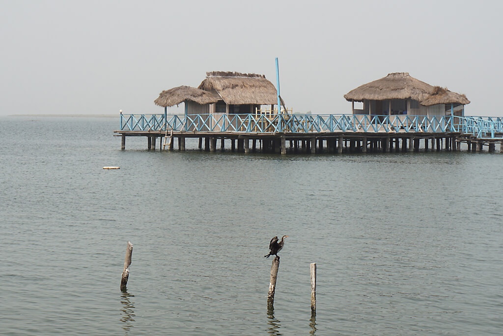 Ghana: Vogelparadies auf der Keta Lagune