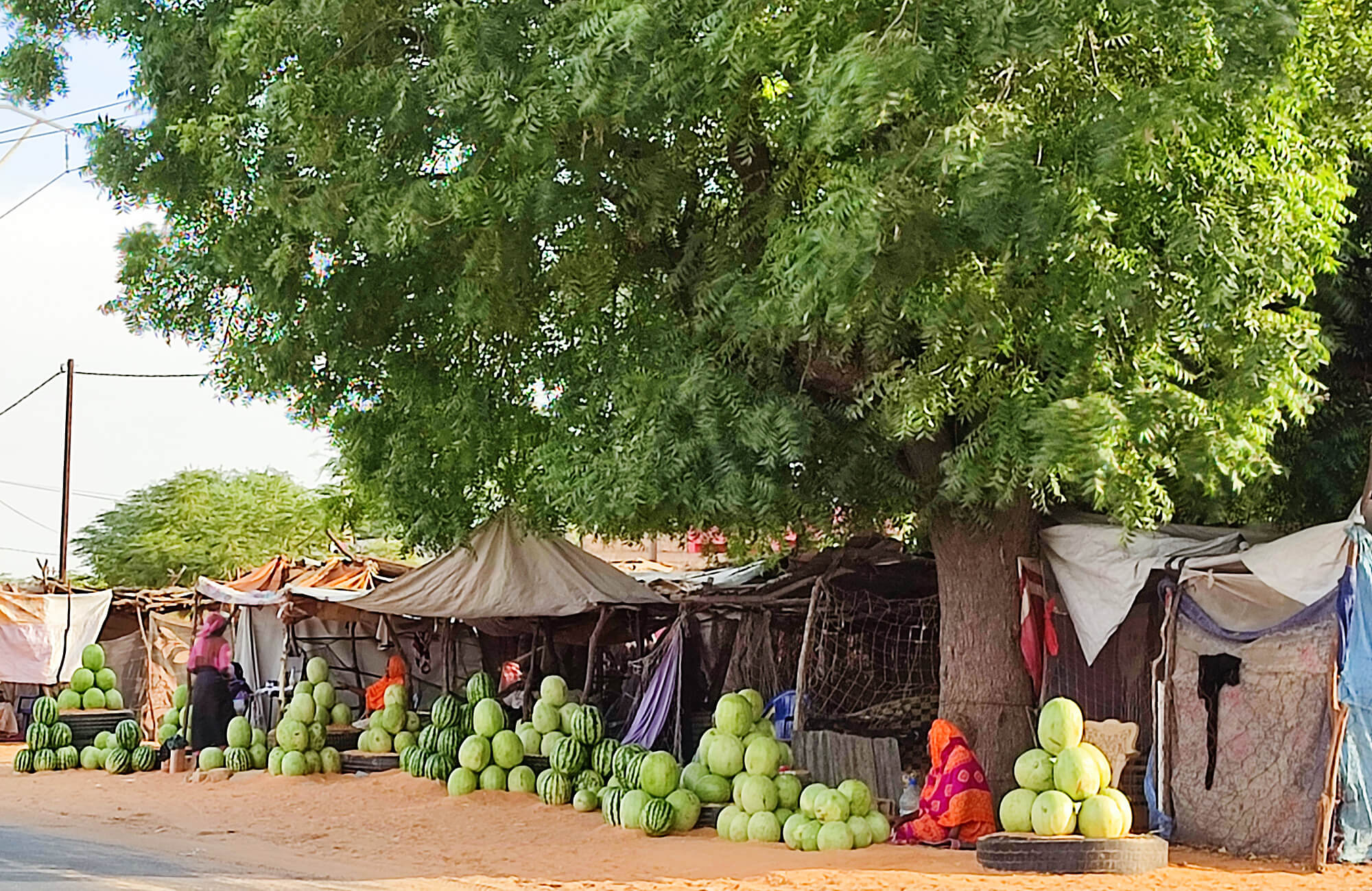 Melonen Verkauf am Wegesrand