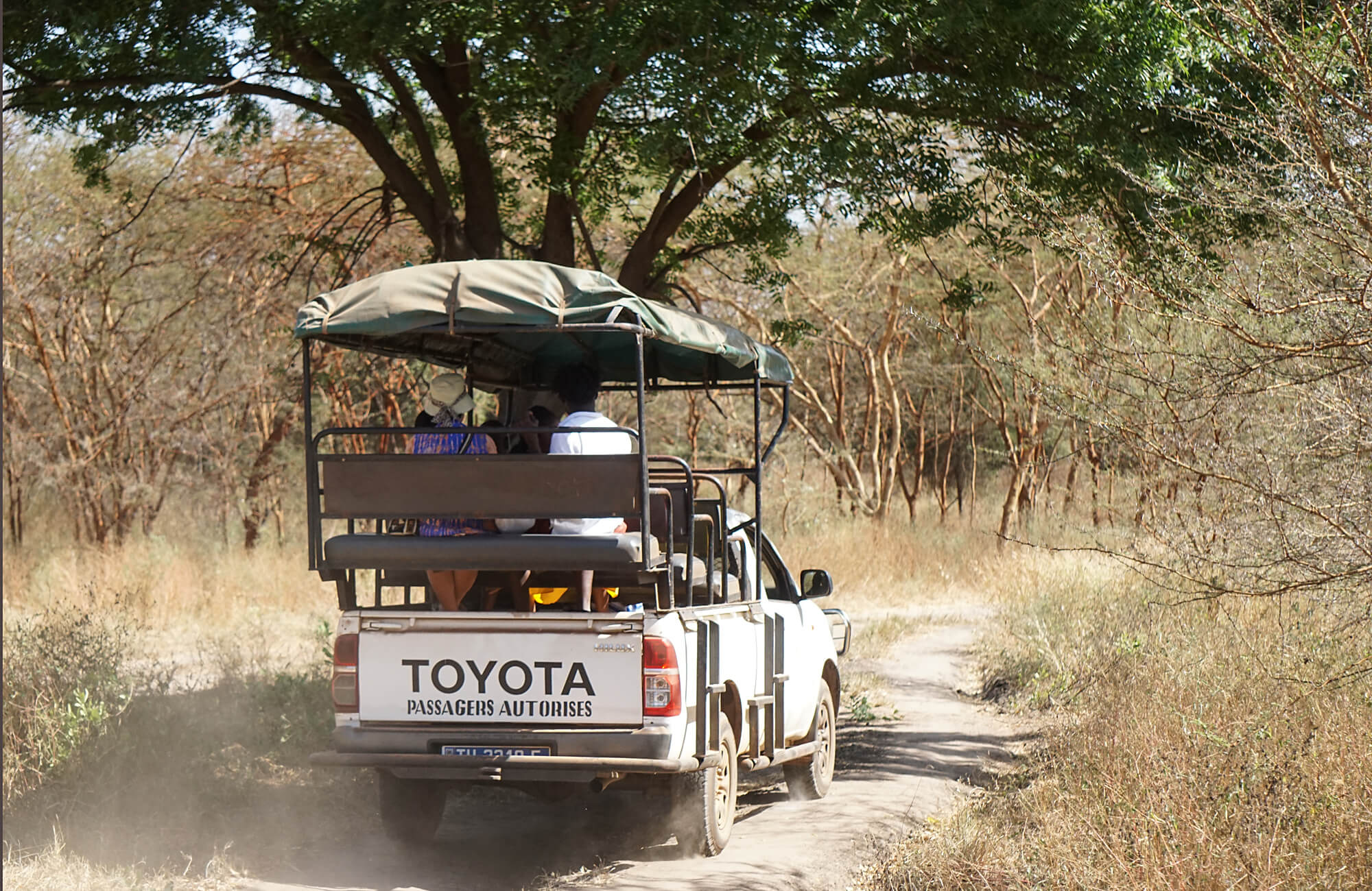 Safari im Bandia Reserve Senegal